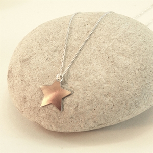 Picture of Copper Rose Petite Star Necklace
